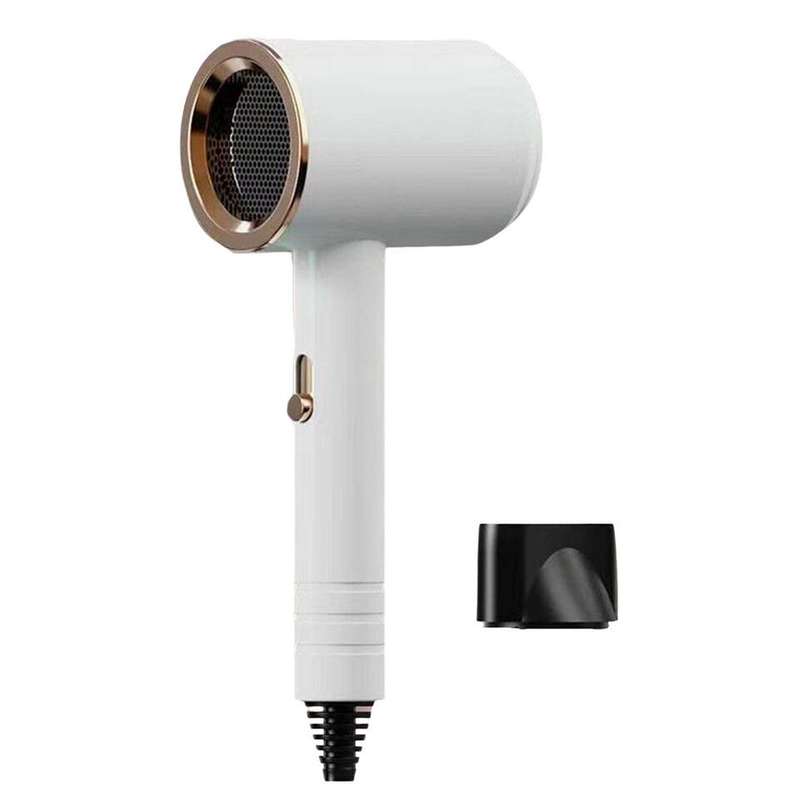 Professional Hair Dryer