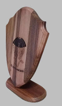 Wooden shield or trophy 360x250 with stand customizable with your details