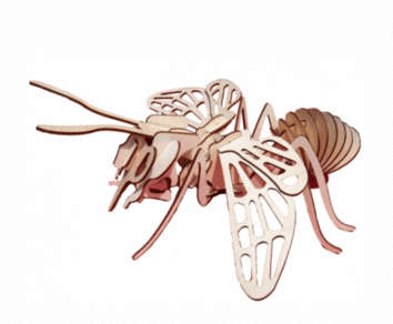 3D wooden Bee  model  - puzzle - 120 x 300mm