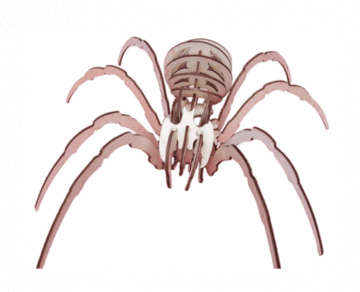 3D wooden 3mm Spider  model  - puzzle - 120 x 300mm