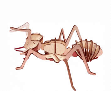 3D wooden 3mm Ant model  - puzzle - 120 x 300mm