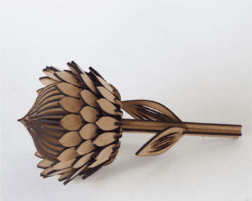3d wooden Protea puzzle. measures 220mm tall by 110mm wide. - model- puzzle-in 3mm