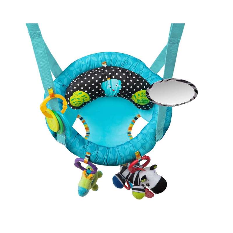 Bright Starts Bounce 'n Spring Deluxe Door Jumper
