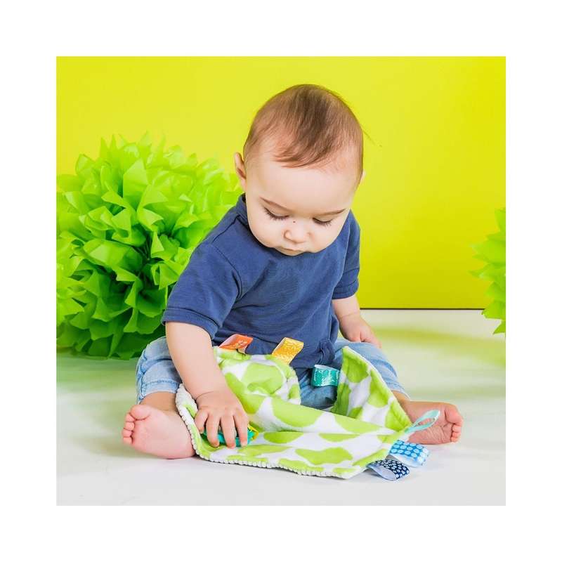 Bright Starts Little Taggies 2 Sided Blankie Green Dots