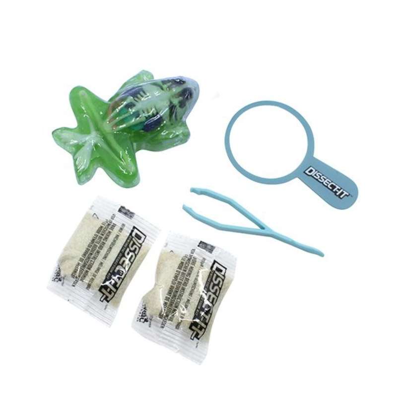 The Dissect-It Mini Frog Lab with Magnifying Glass