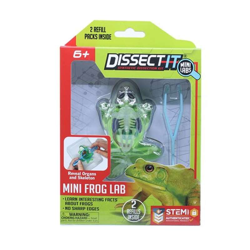 The Dissect-It Mini Frog Lab with Magnifying Glass