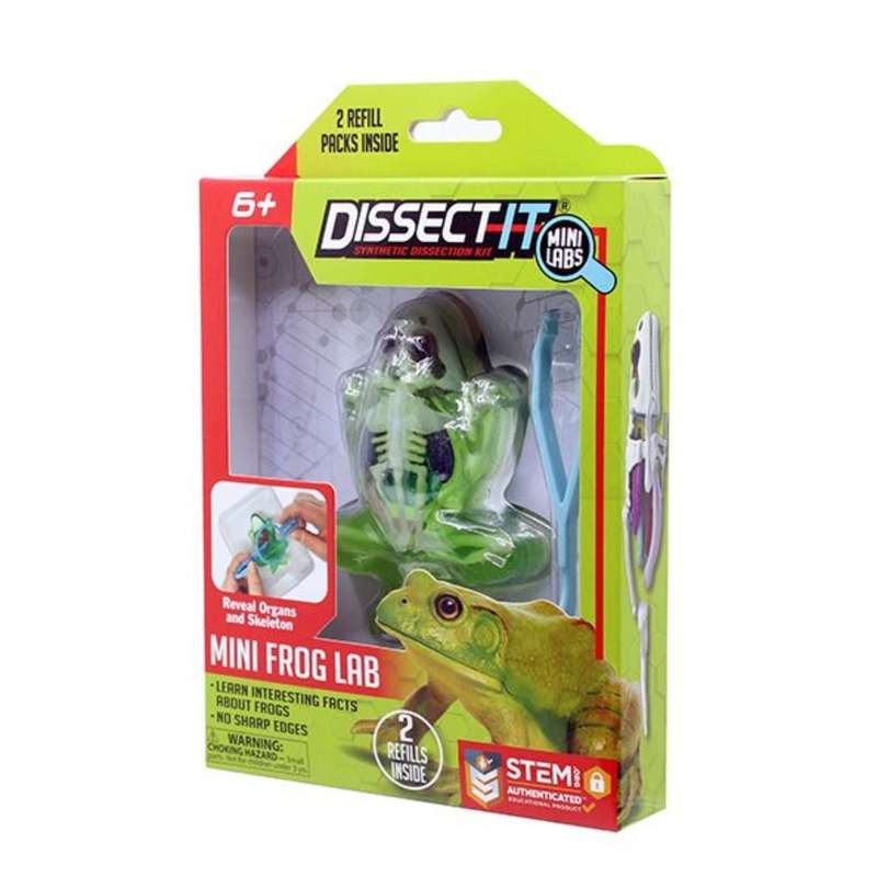 The Dissect-It Mini Frog Lab with Magnifying Glass