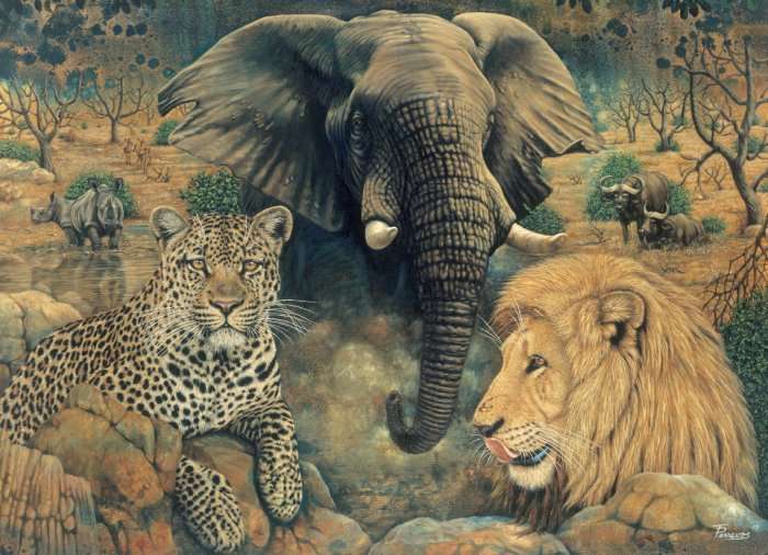 Adult Puzzle - Spirit of Africa 1500 Pieces