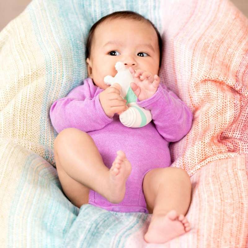 B. Toys Bumble Bee & Whale Teether