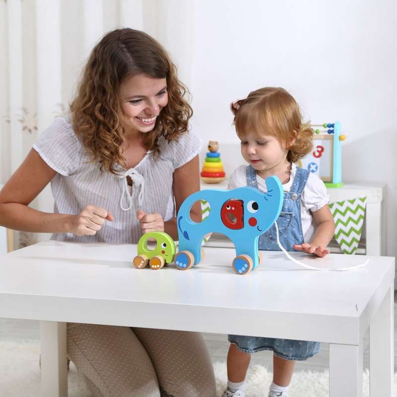 TookyToy Pull Along Elephant Family