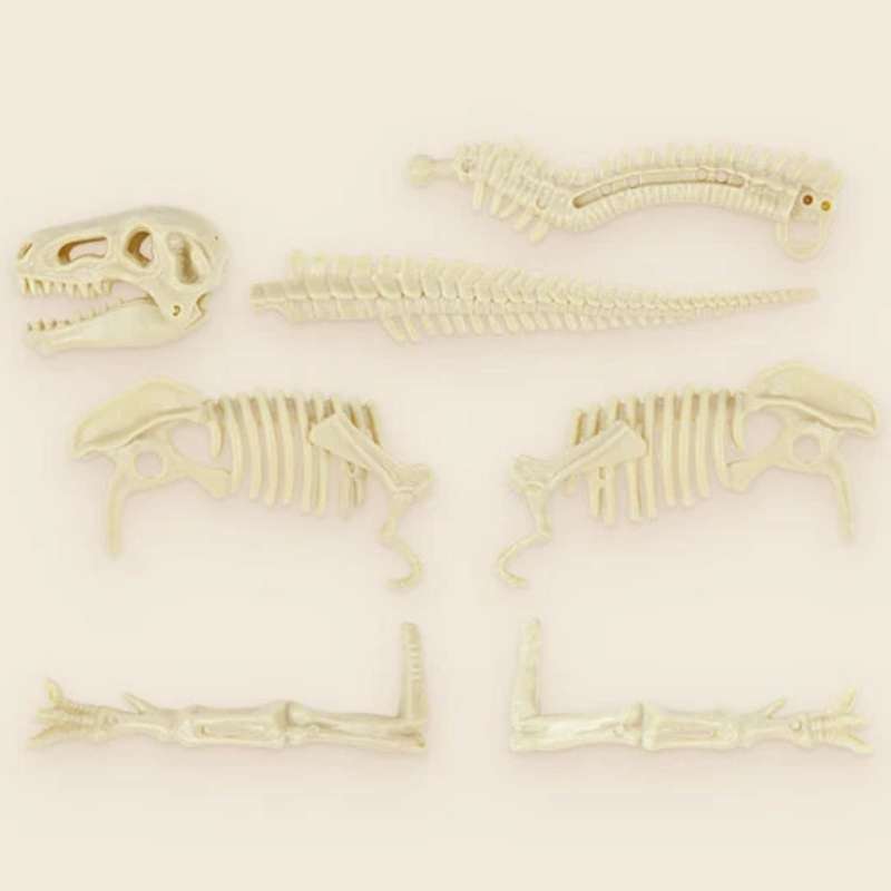TopBright Cretaceous Deluxe Dinosaur Fossil Dig Kit