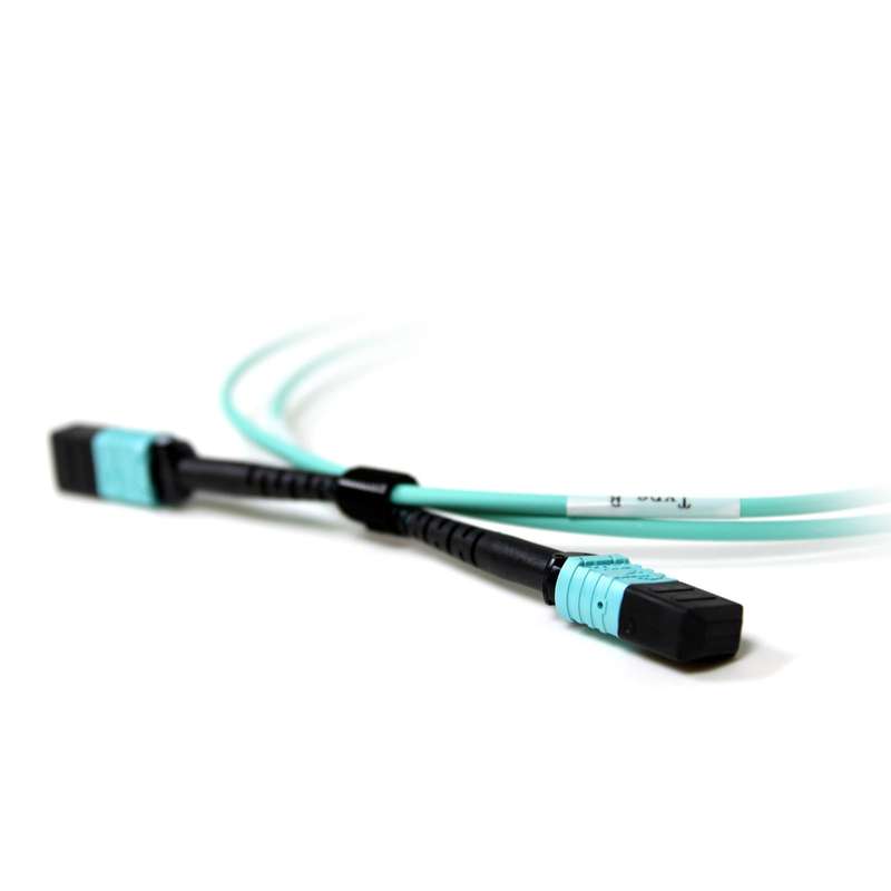 Acconet Patch Lead 12Core MPO Female to MPO Female 1M