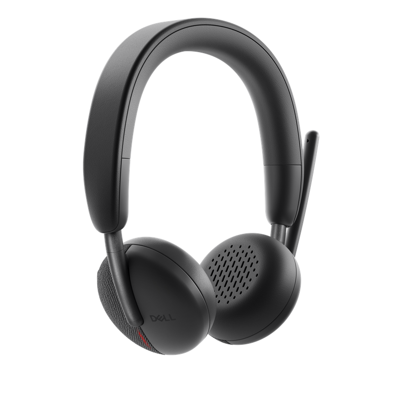 DELL WIRELESS HEADSET WL3024