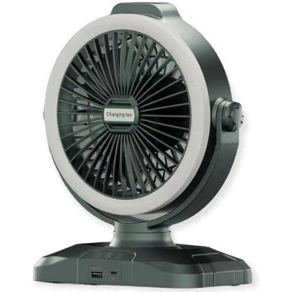SHAKE-HEAD FAN