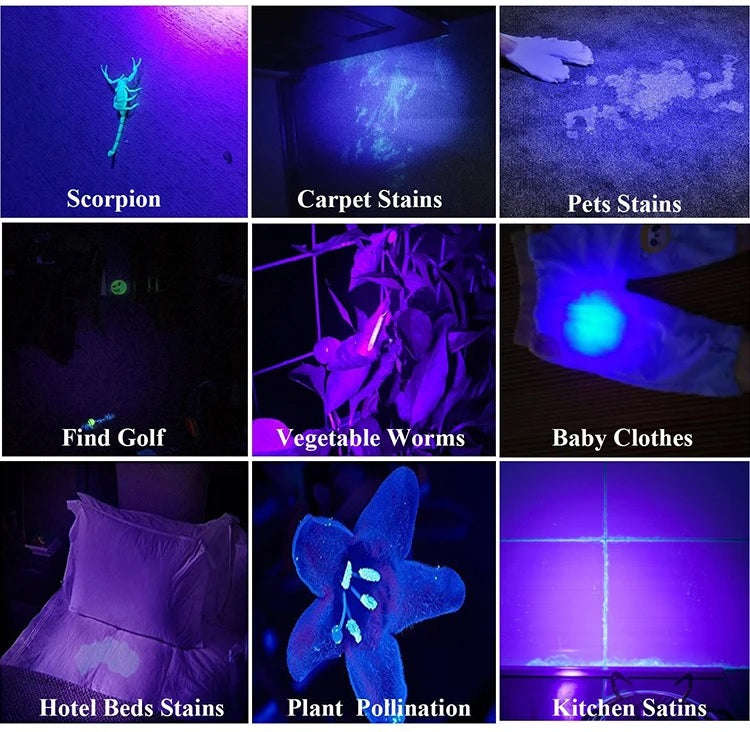 100 LED Ultraviolet UV 395nm Flashlight - Powerful Tool for Detecting Counterfeit Currency, Pet S...