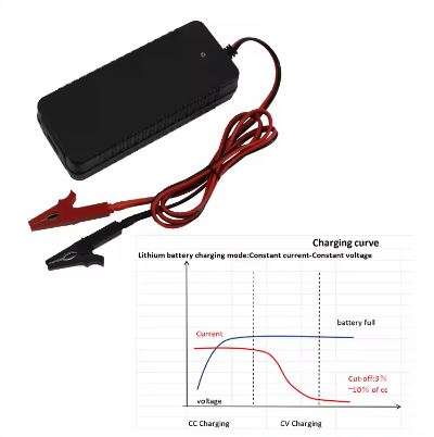 3.65V 5Amp Lifepo4 Cell Battery Balance Charger