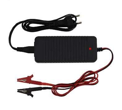 3.65V 5Amp Lifepo4 Cell Battery Balance Charger