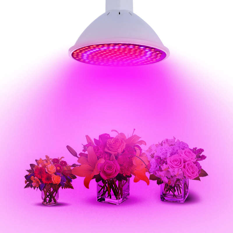 *LOCAL STOCK* 20W E27 LED Plant Grow Light Bulb