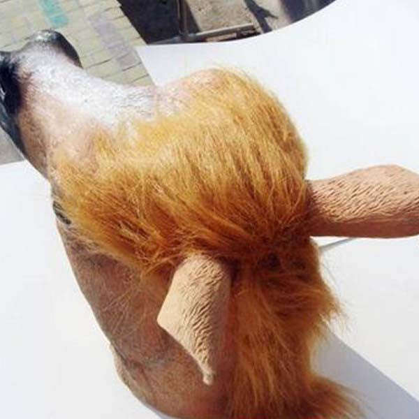 Horse Head Halloween Face Mask