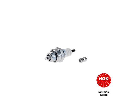 Ngk Spark Plugs (Bpmr7A)
