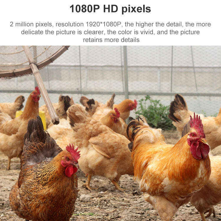 QX5 4G (US Version) 2.0 Million Pixels 1080P HD 20X Zoom Dome Smart Camera, Support Infrared Nigh...