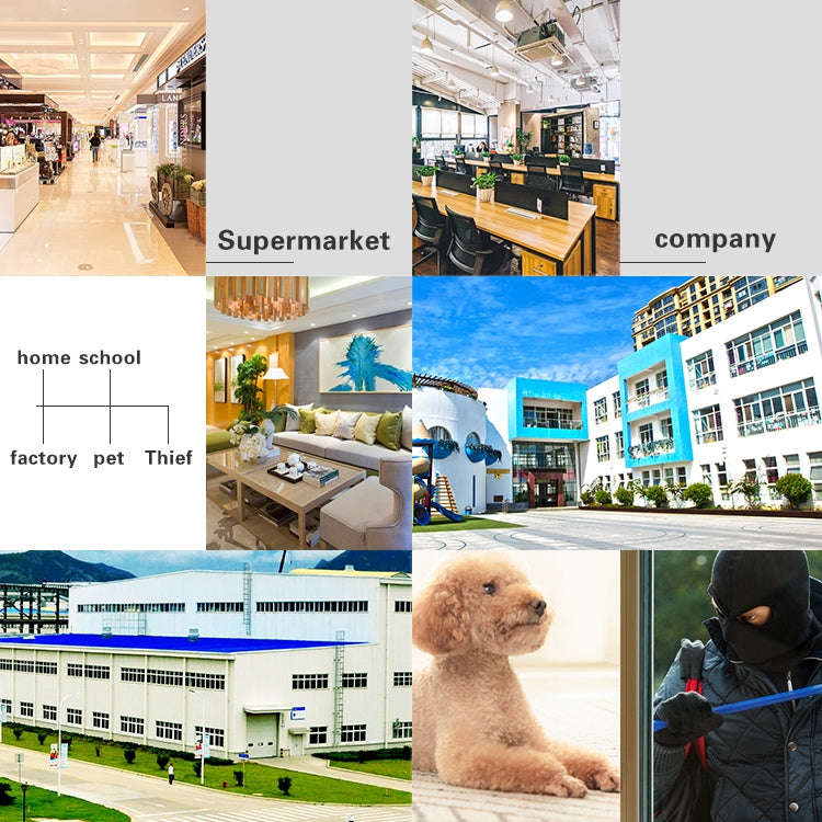 DP16 2.0 Megapixel 42 LEDs Garden Light Smart Camera, Support Motion Detection / Night Vision / V...