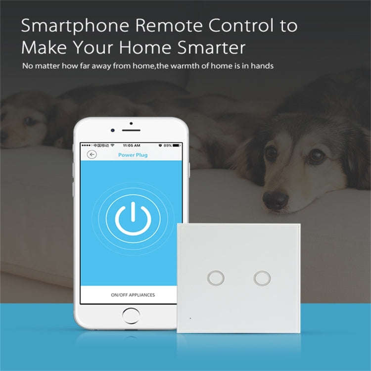 NEO NAS-SC02W Wireless WiFi EU Smart Light Control Switch 2Gang