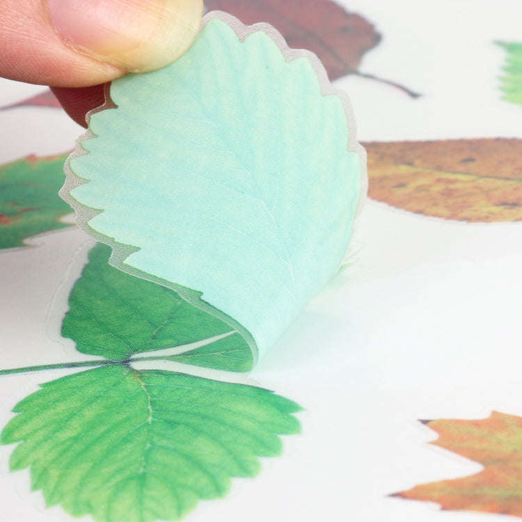 Car 3D PVC Self-adhesive Scratch Personalized Stickers