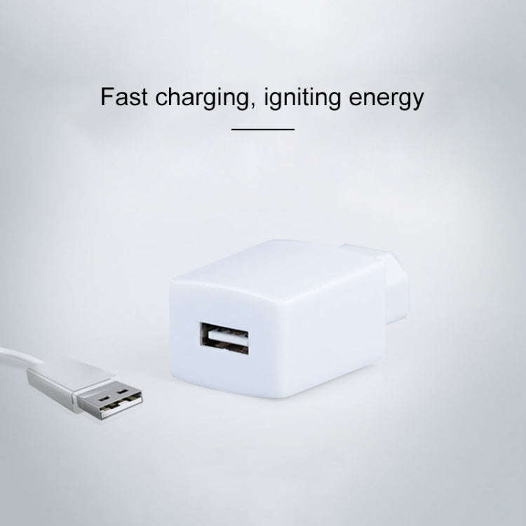 Electrical Motorcycle 36-80V 1A USB Mobile-phone Charger Adapter (White)