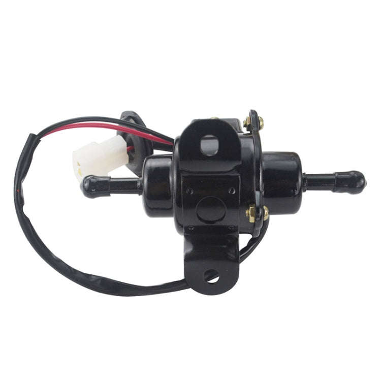 EP-500-0 12V Car modification Electric Fuel Pump (Black)