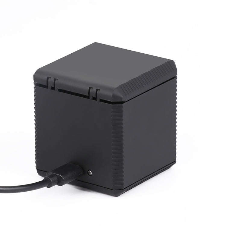 RUIGPRO USB Triple Batteries Housing Charger Box with Cable & Indicator Light for GoPro HERO9 Bla...