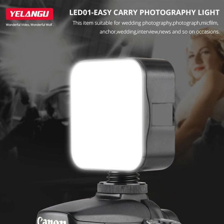 YELANGU LED01 49 LED Video Light for Camera / Video Camcorder (Black)