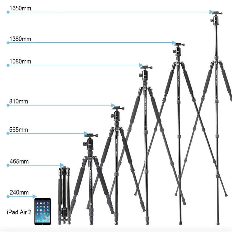 TRIOPO 554 Adjustable Portable  Aluminum Alloy Tripod with D-2A Ball Head for SLR Camera
