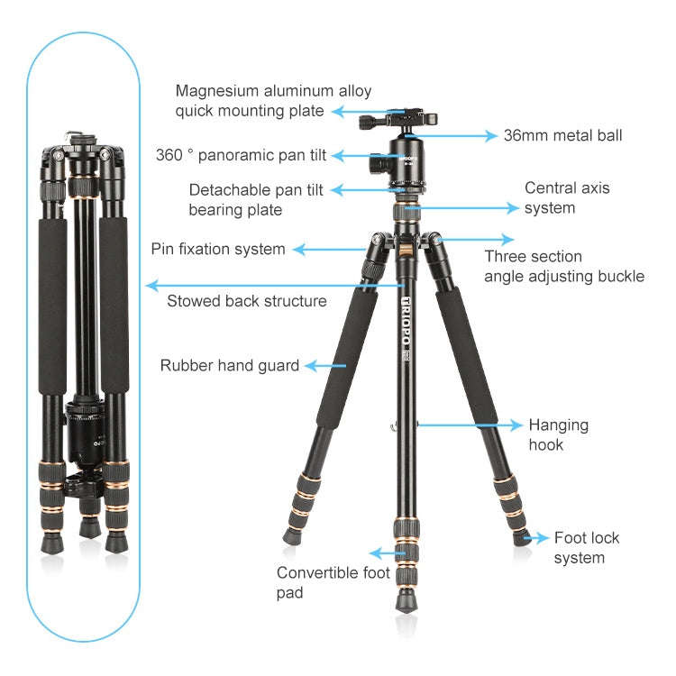TRIOPO 554 Adjustable Portable  Aluminum Alloy Tripod with D-2A Ball Head for SLR Camera
