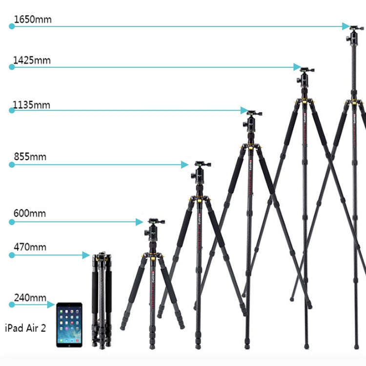 TRIOPO 853 Adjustable Portable Carbon Fiber Tripod with D2-A Ball Head for SLR Camera