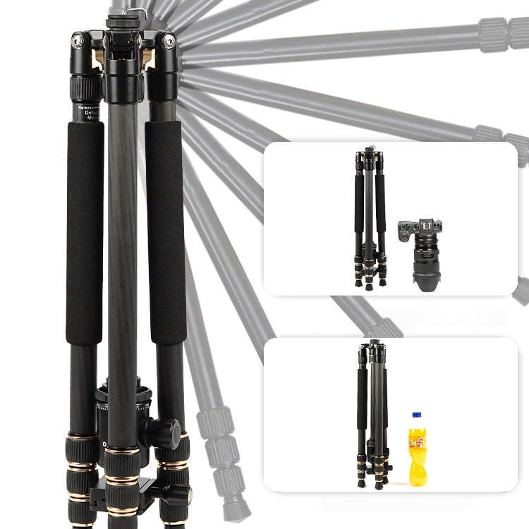 TRIOPO 853 Adjustable Portable Carbon Fiber Tripod with D2-A Ball Head for SLR Camera