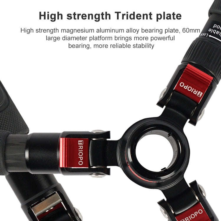 TRIOPO 888 Adjustable Portable Carbon Fiber Tripod with Q-2 Ball Head for SLR Camera, Pipe diamet...