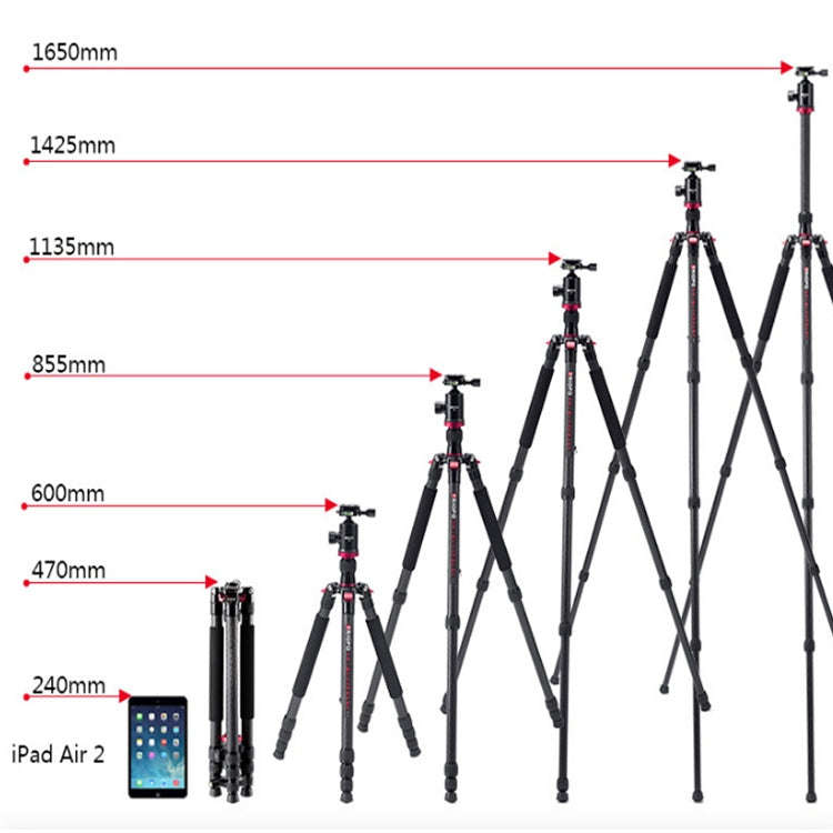 TRIOPO 888 Adjustable Portable Carbon Fiber Tripod with Q-2 Ball Head for SLR Camera, Pipe diamet...
