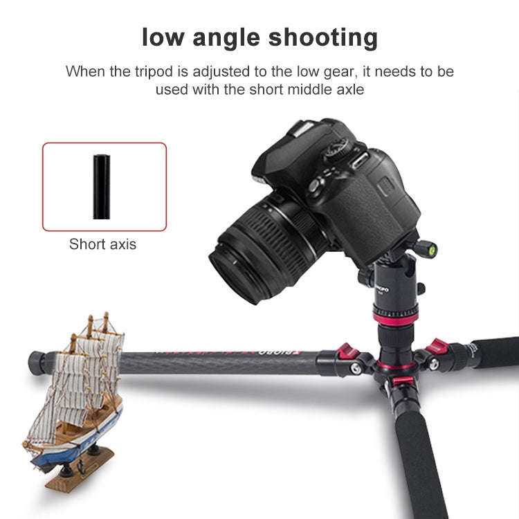 TRIOPO 888 Adjustable Portable Carbon Fiber Tripod with Q-2 Ball Head for SLR Camera, Pipe diamet...