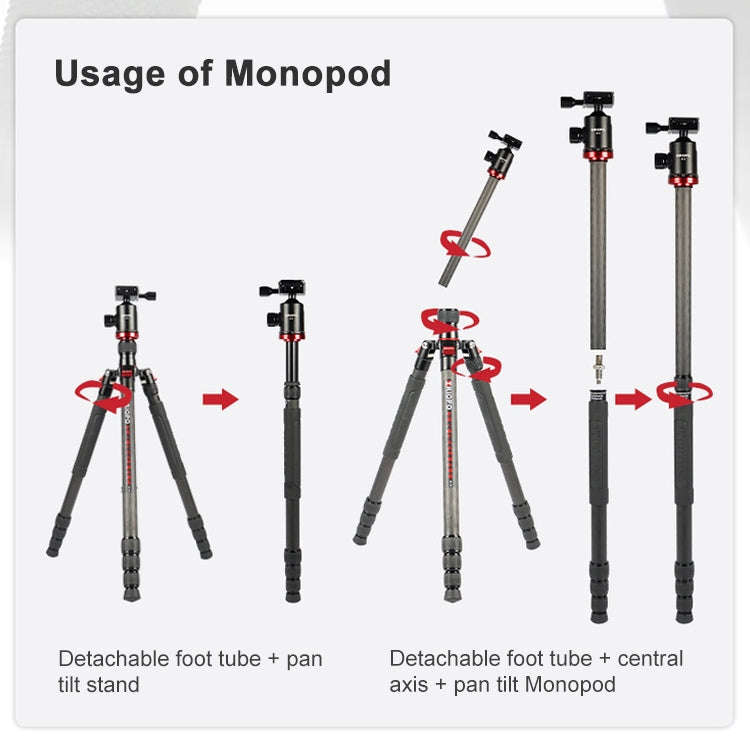 TRIOPO 888 Adjustable Portable Carbon Fiber Tripod with Q-2 Ball Head for SLR Camera, Pipe diamet...