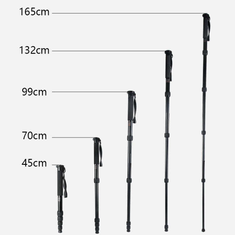 BEXIN MAS325 Portable Travel Outdoor DSLR Camera Aluminum Alloy Monopod Holder(Black)