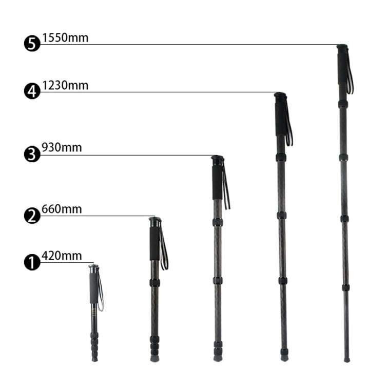 BEXIN P285-C Portable Travel Outdoor DSLR Camera Carbon Fiber Monopod Holder (Black)