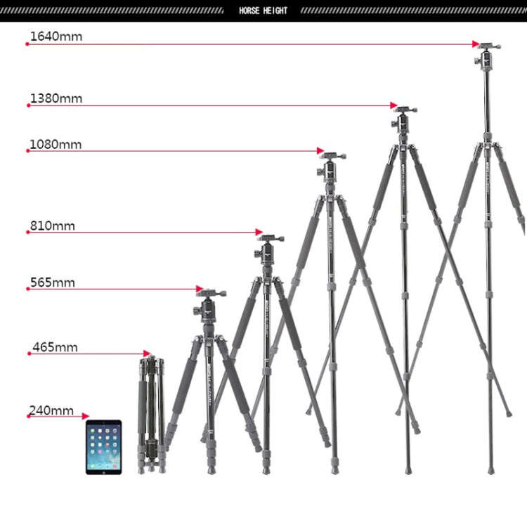 TRIOPO T258 Aluminum Alloy Tripod Monopod with D2 Ball Head (Black)