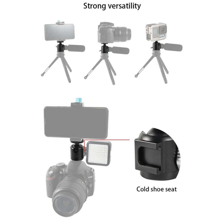 BEXIN HK25 Aluminum Alloy Cold Shoe Tripod Adapter Ball Head (Black)