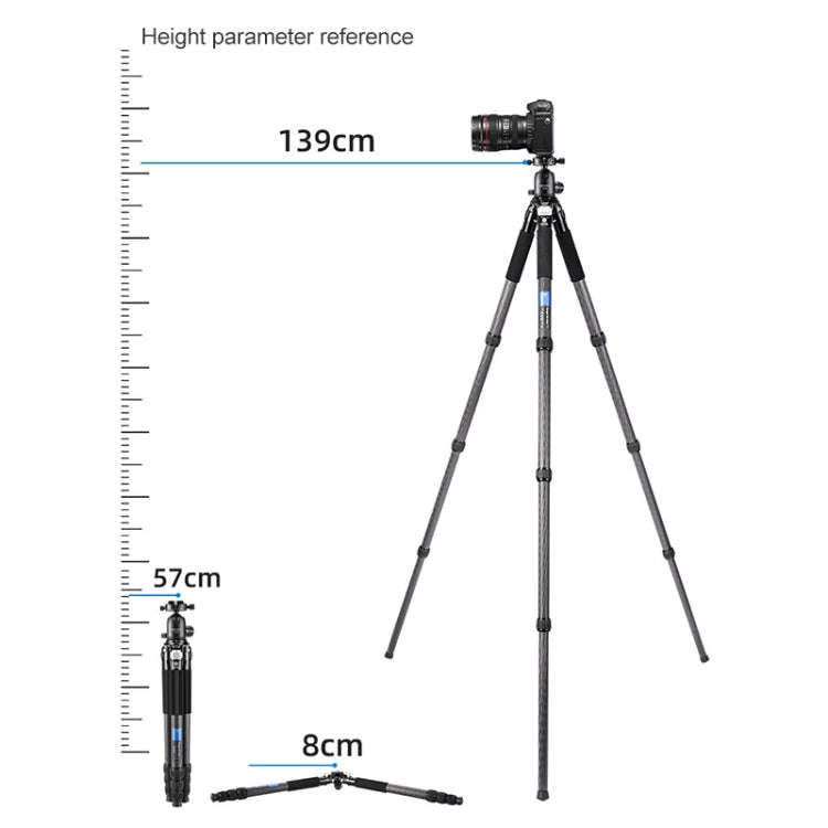 BEXIN RC294 Portable Collapsible Carbon Fiber Camera Tripod with K44 Panoramic Ball Head
