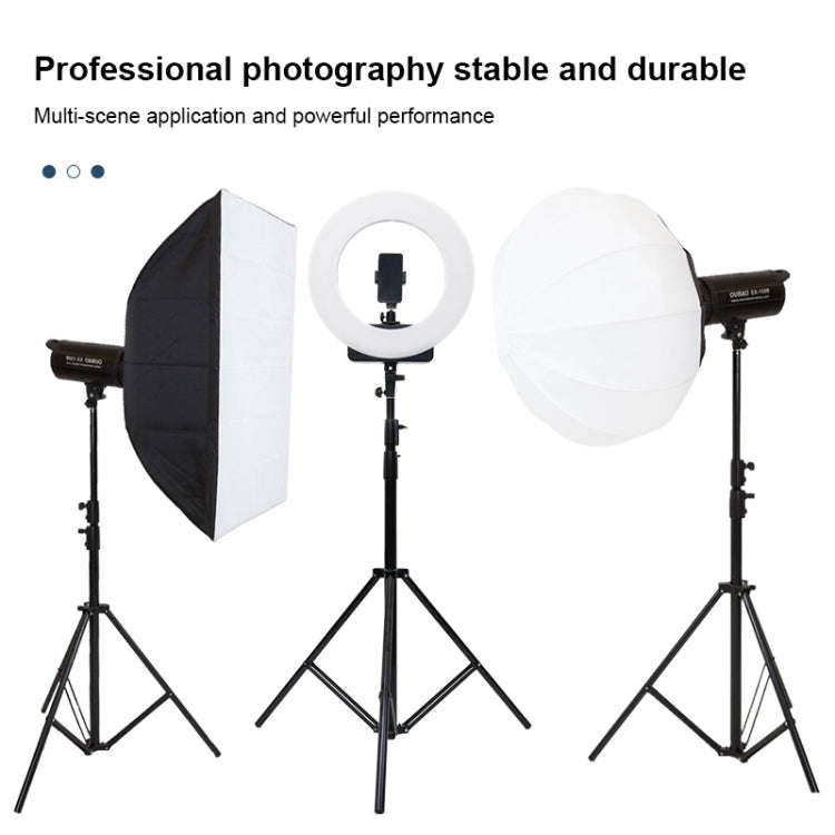 TRIOPO 2.2m Height Professional Photography Metal Lighting Stand Holder for Studio Flash Light