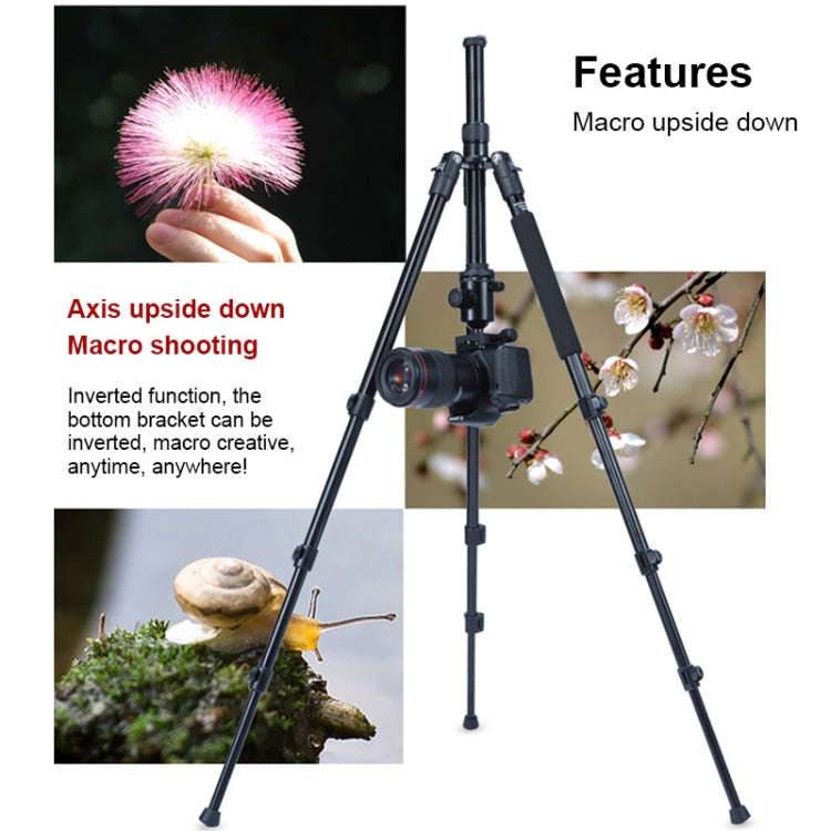 TRIOPO Oubao A-308S Adjustable Portable  Aluminum Alloy Tripod with Ball Head for SLR Camera