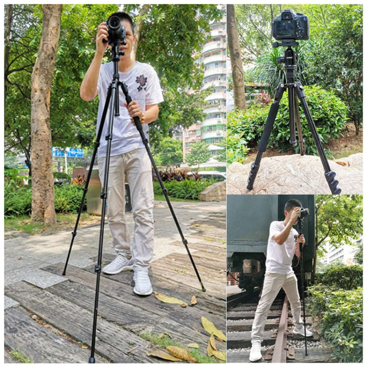TRIOPO Oubao A-308S Adjustable Portable  Aluminum Alloy Tripod with Ball Head for SLR Camera