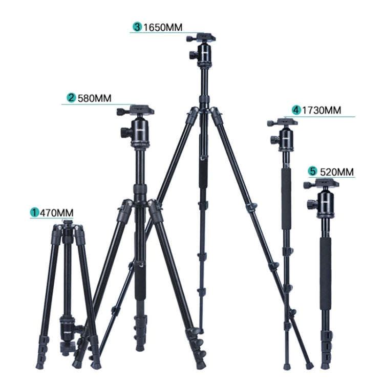 TRIOPO Oubao A-308S Adjustable Portable  Aluminum Alloy Tripod with Ball Head for SLR Camera