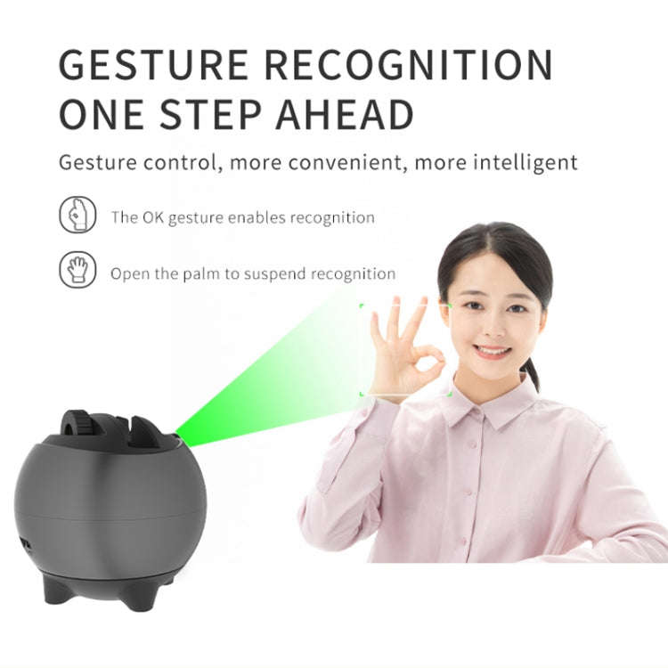 Q9 Al Gesture Recognition Two Axis Follow-up Cloud Platform(Dark Gray)